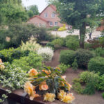 Reiterhof: Blick über den Garten