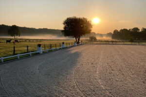 Reitplaetze_10